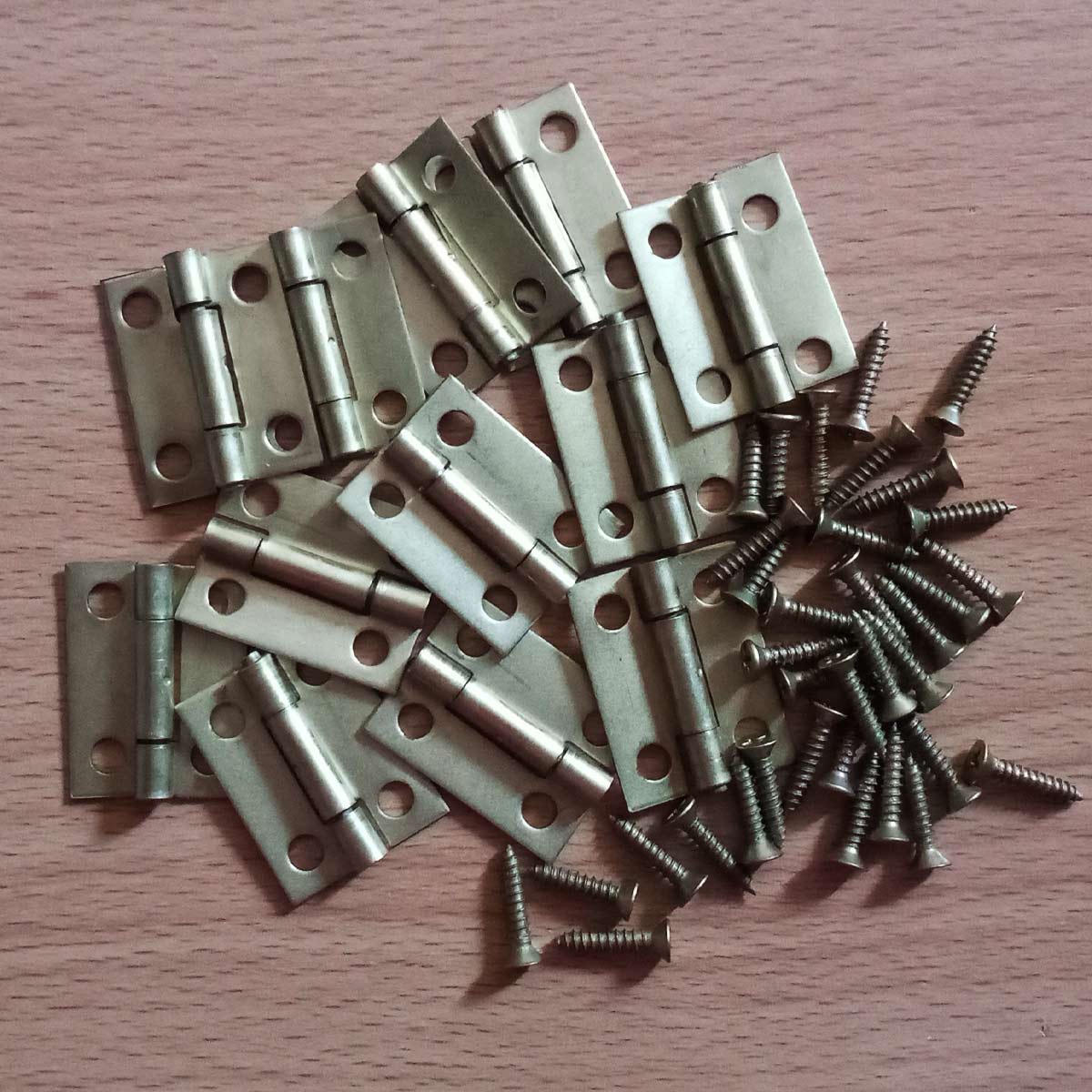 Bisagras comunes de 1"-con sus tornillos
