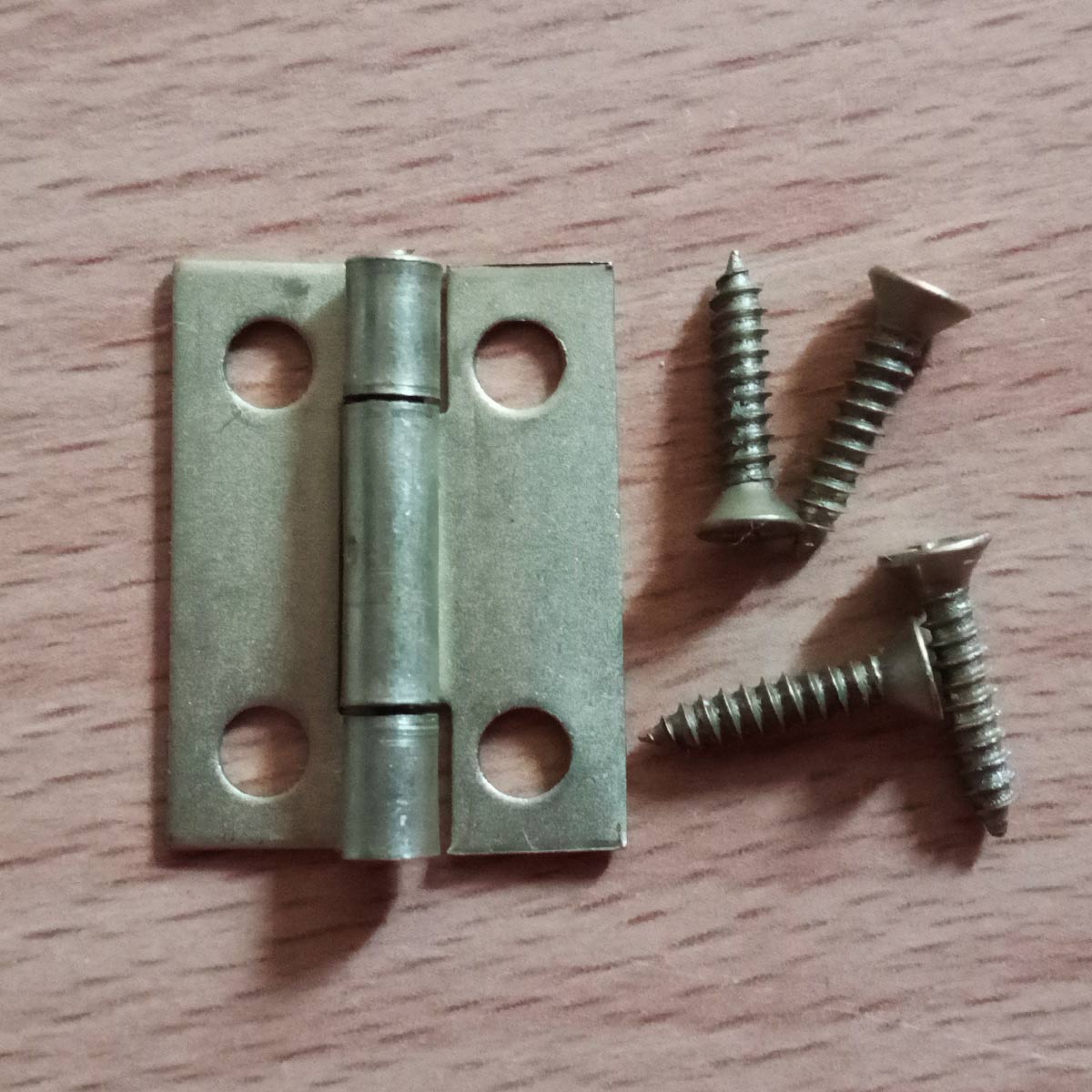 Bisagra Común de 1"-con sus tornillos